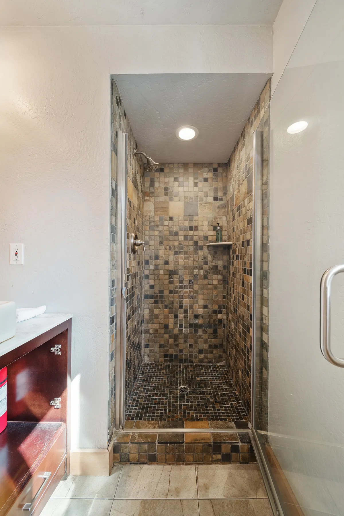 Wander Tahoe Basin #39