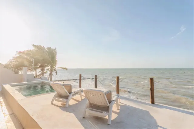 Wander Progreso Horizon #2