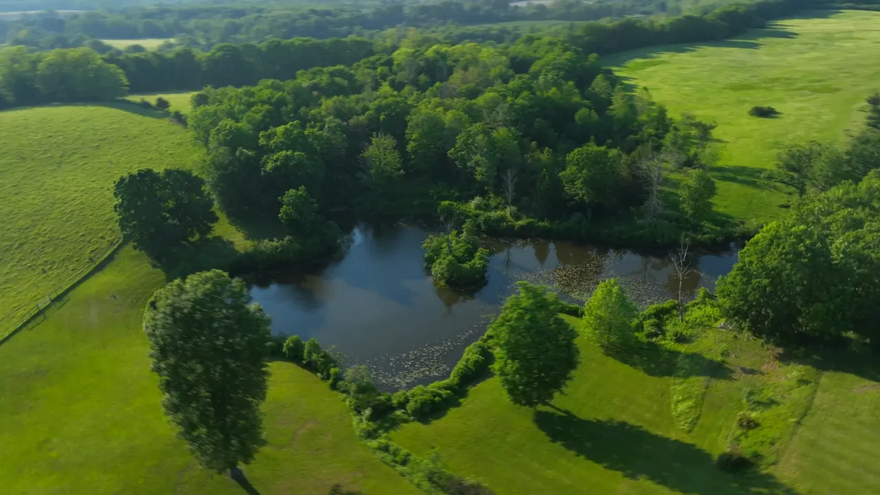 Wander Hudson Oasis tour video