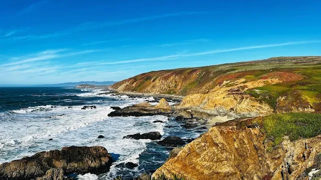 Bodega Head Trail