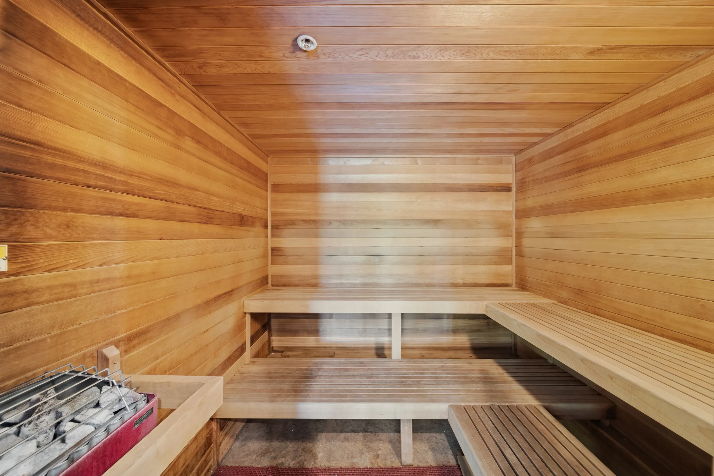 Wander Tahoe Meadow #150