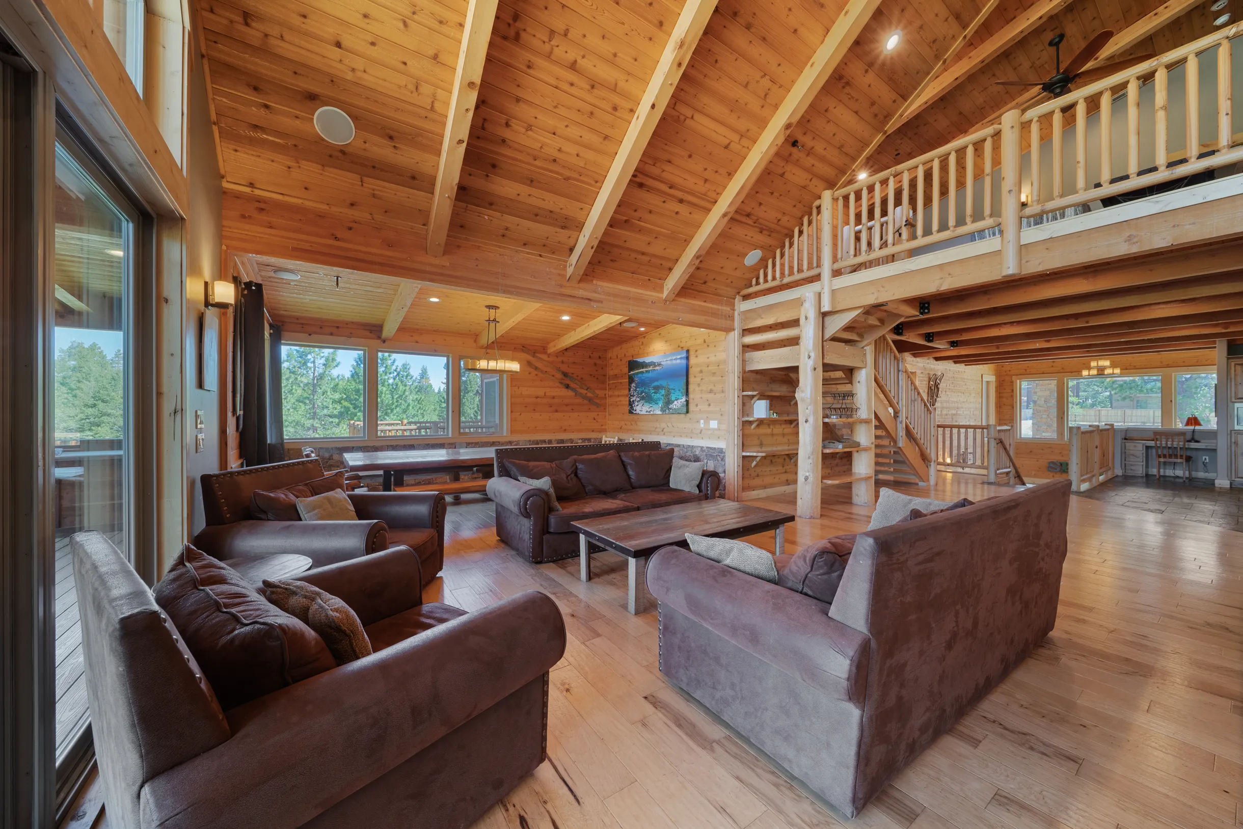 Wander Tahoe Meadow #162