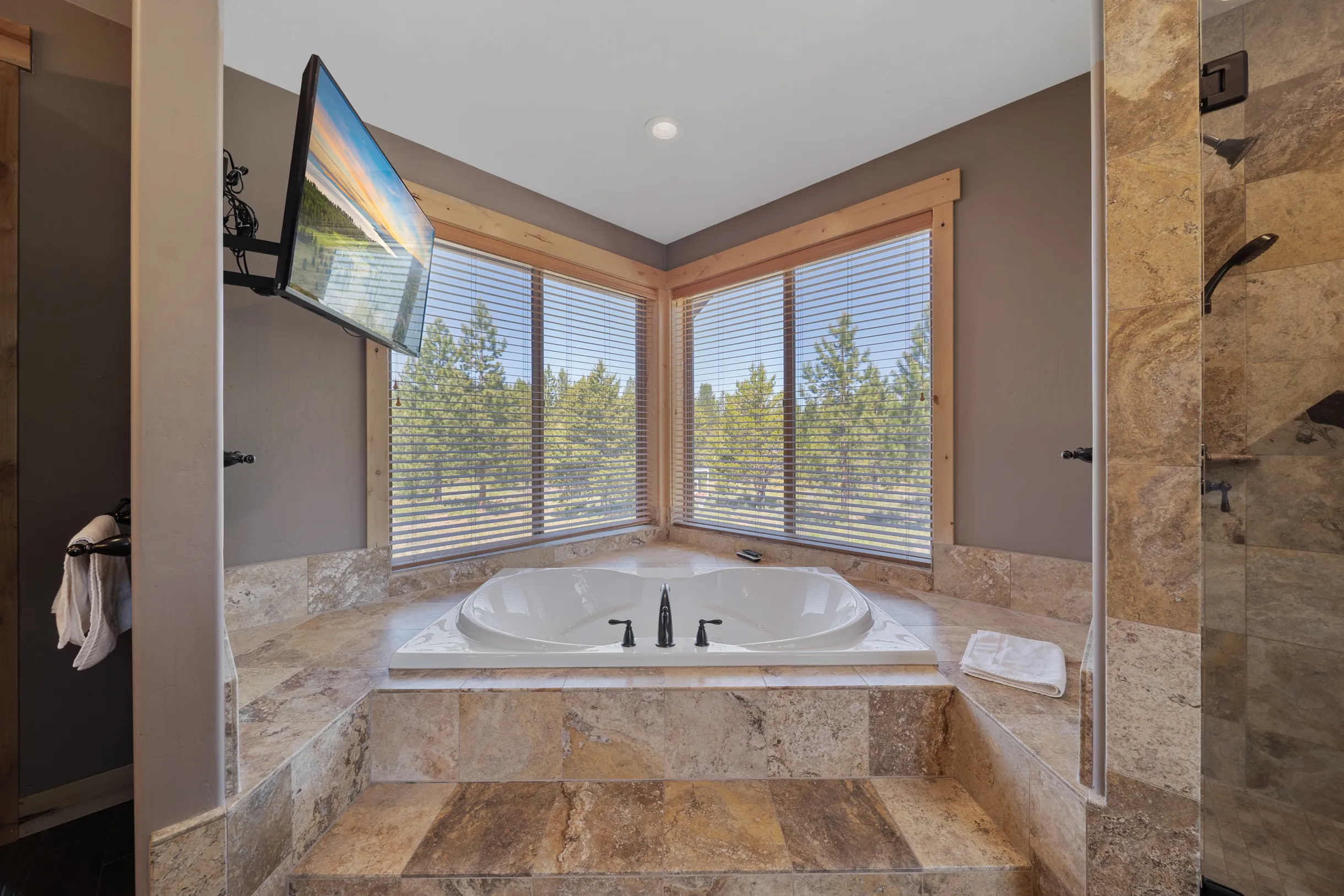 Wander Tahoe Meadow #51