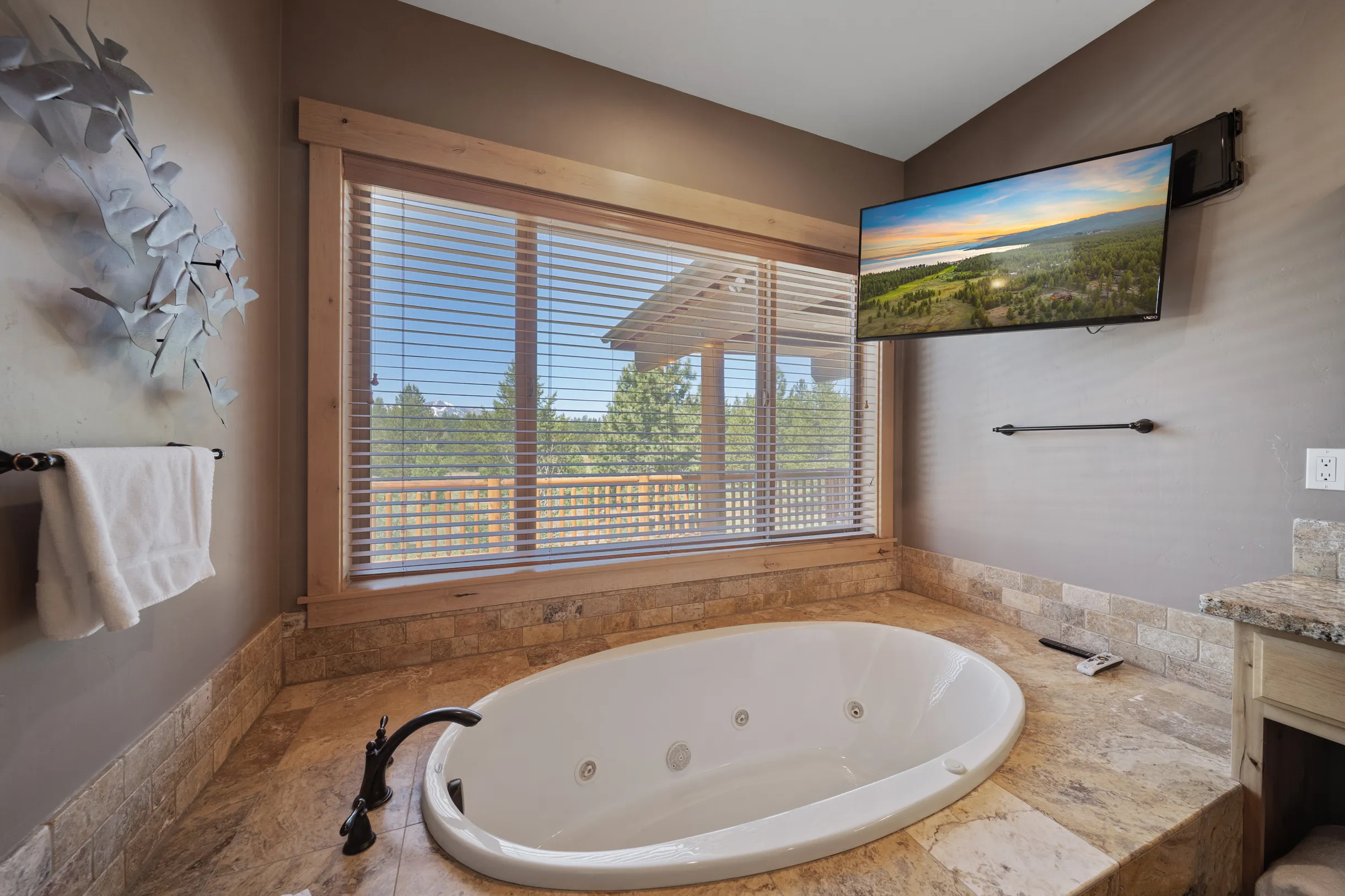 Wander Tahoe Meadow #52