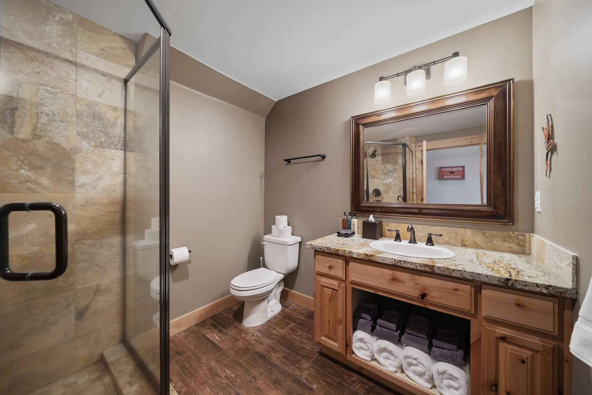 Wander Tahoe Meadow #17