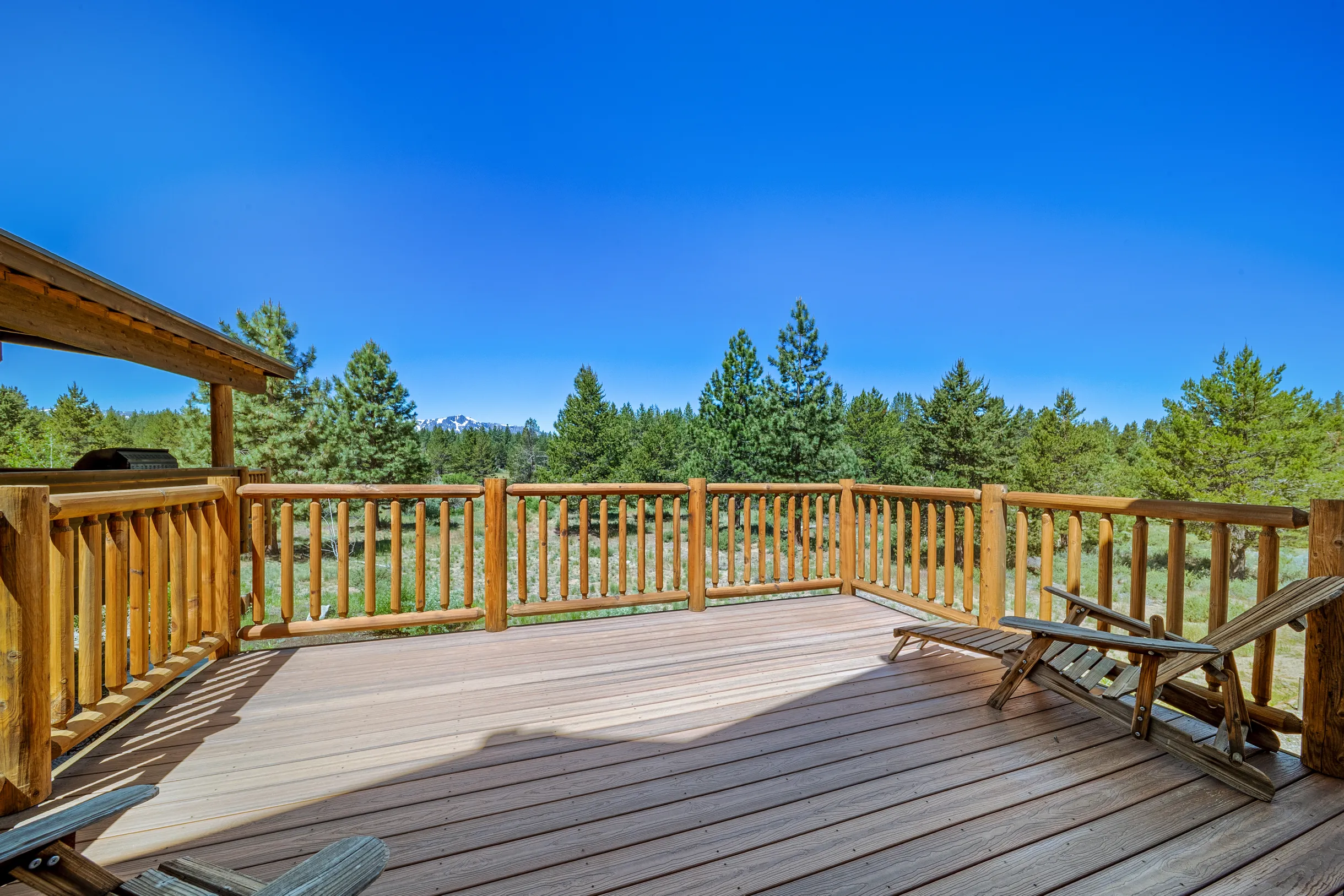 Wander Tahoe Meadow #58