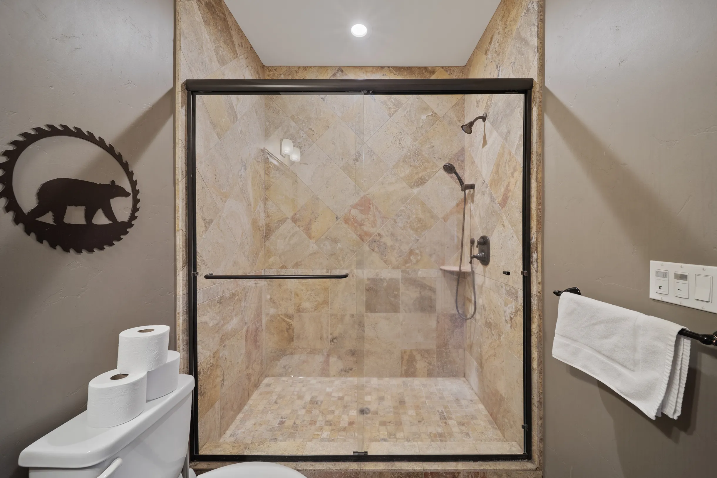 Wander Tahoe Meadow #59