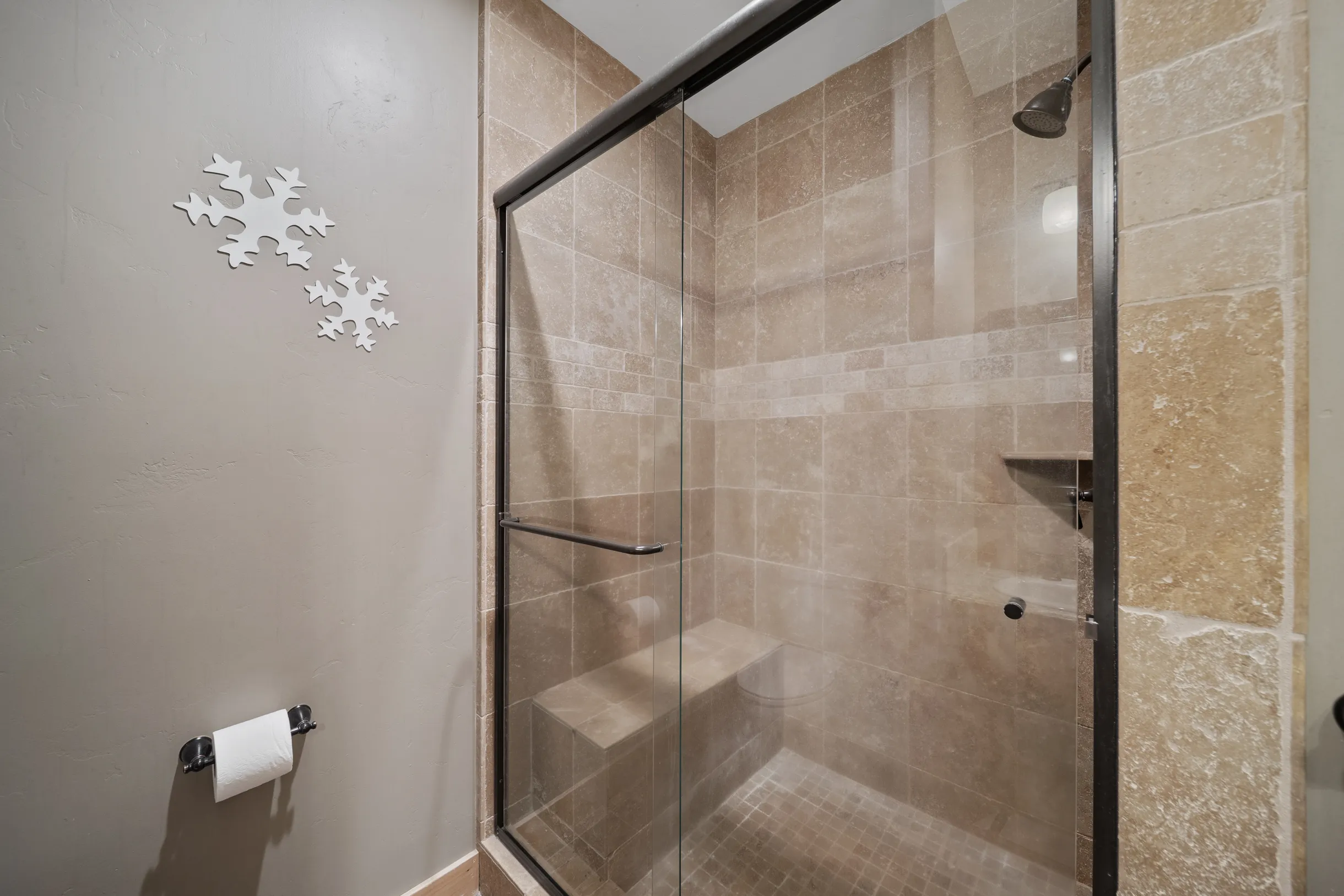 Wander Tahoe Meadow #65