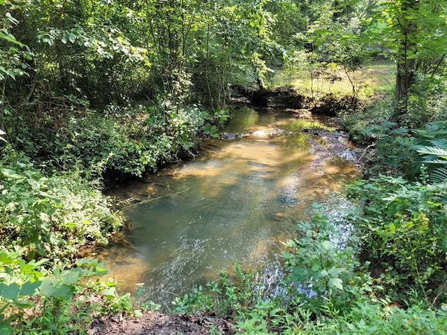 Mineral Springs Walking Trail