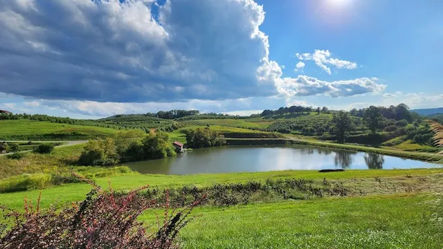 Mercier Orchards