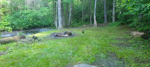 Harkins Creek