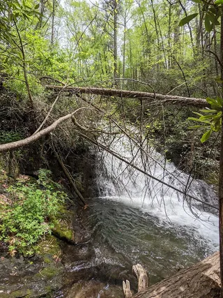 Benton MacKaye Trailhead