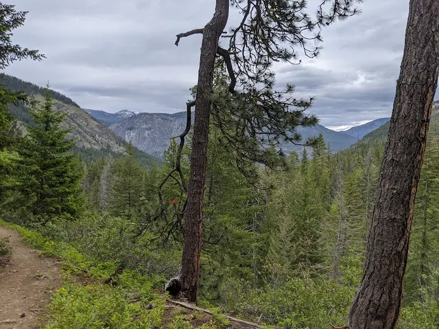 Cedar Creek Trail #476