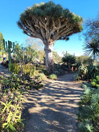 San Diego Botanic Garden