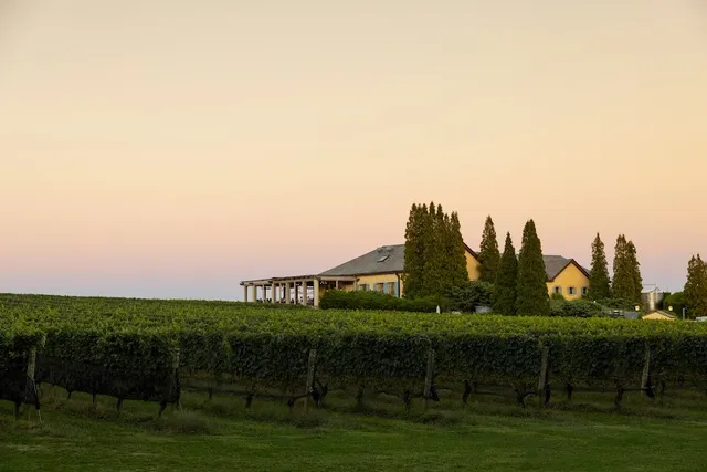 Wölffer Estate Vineyard