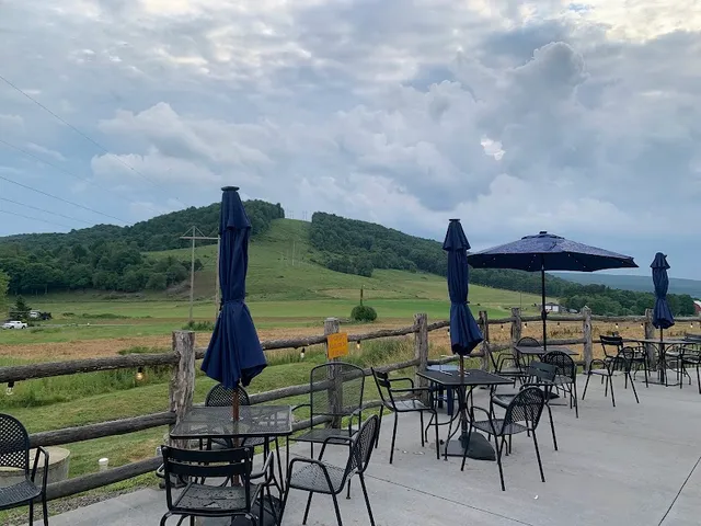Mountain State Brewing Co