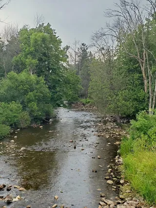 Forestville Dam County Park