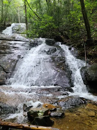 Fall Branch Falls Trailhead
