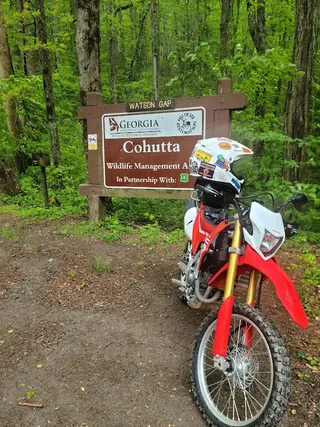 Watson Gap - Cohutta WMA