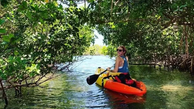 Virgin Islands Ecotours