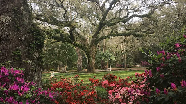 Eden Gardens State Park