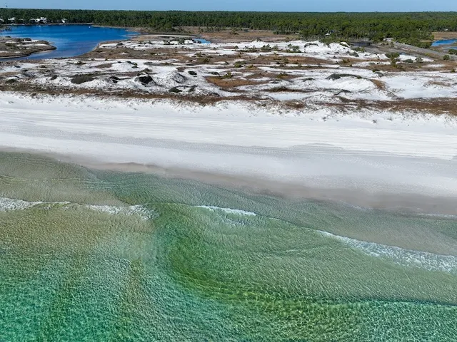 Grayton Beach State Park
