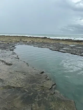 Malpais Tide pools