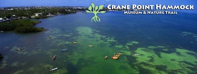 Crane Point Hammock