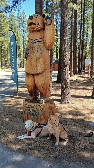 Tahoe Valley Campground