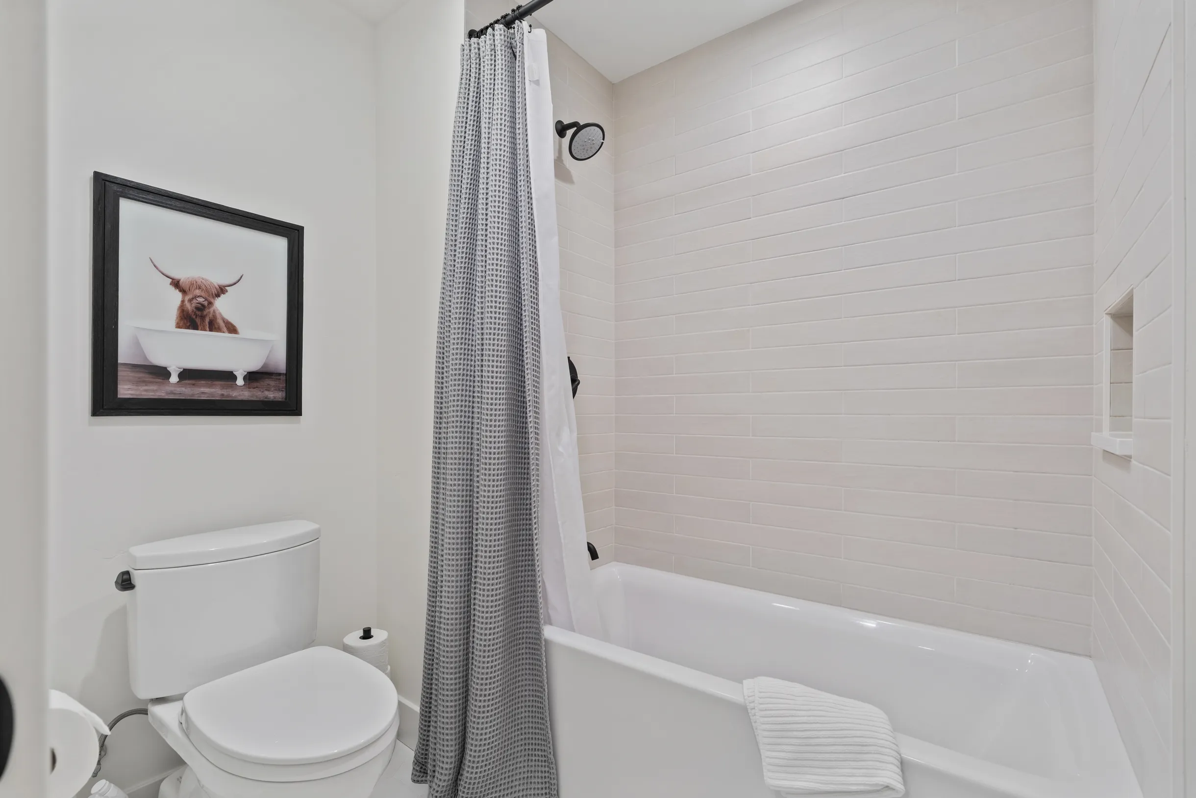 Wander Winter Park Roam #39