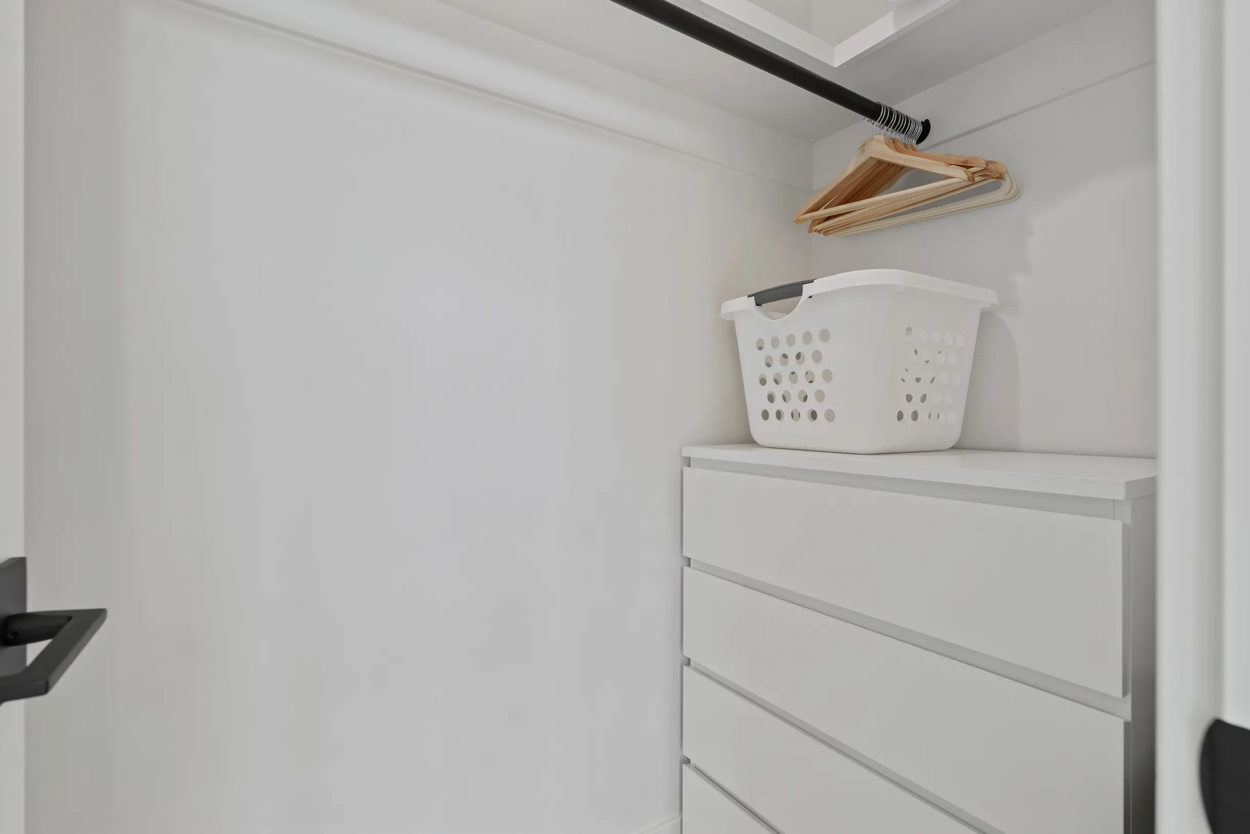 Wander Winter Park Roam #85