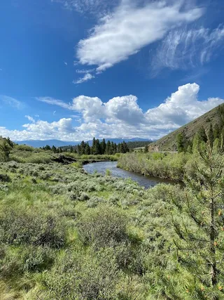 Fraser River Canyon Trailhead