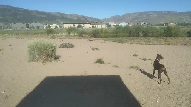 Granby Dog Park