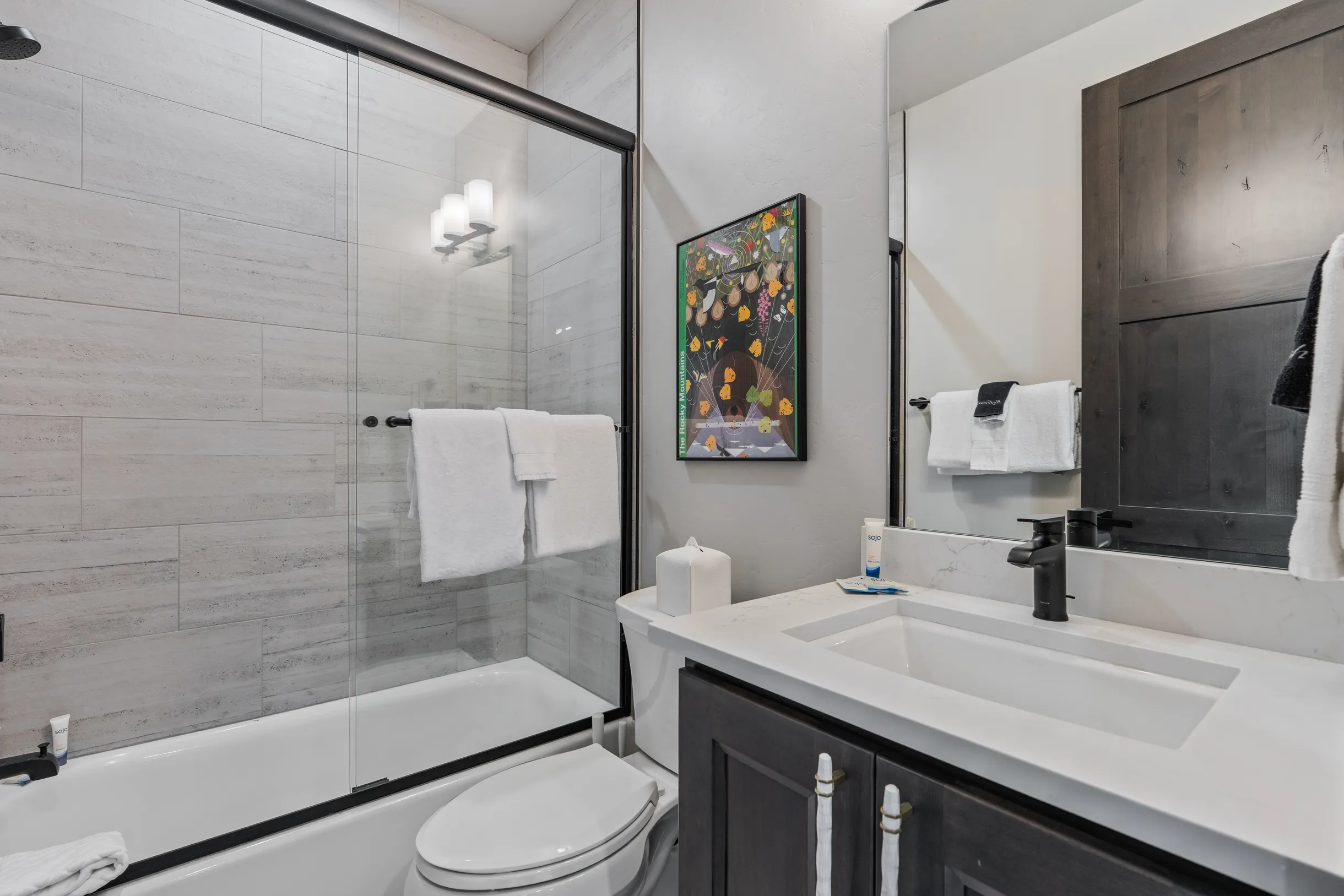 Wander Winter Park Sky #30