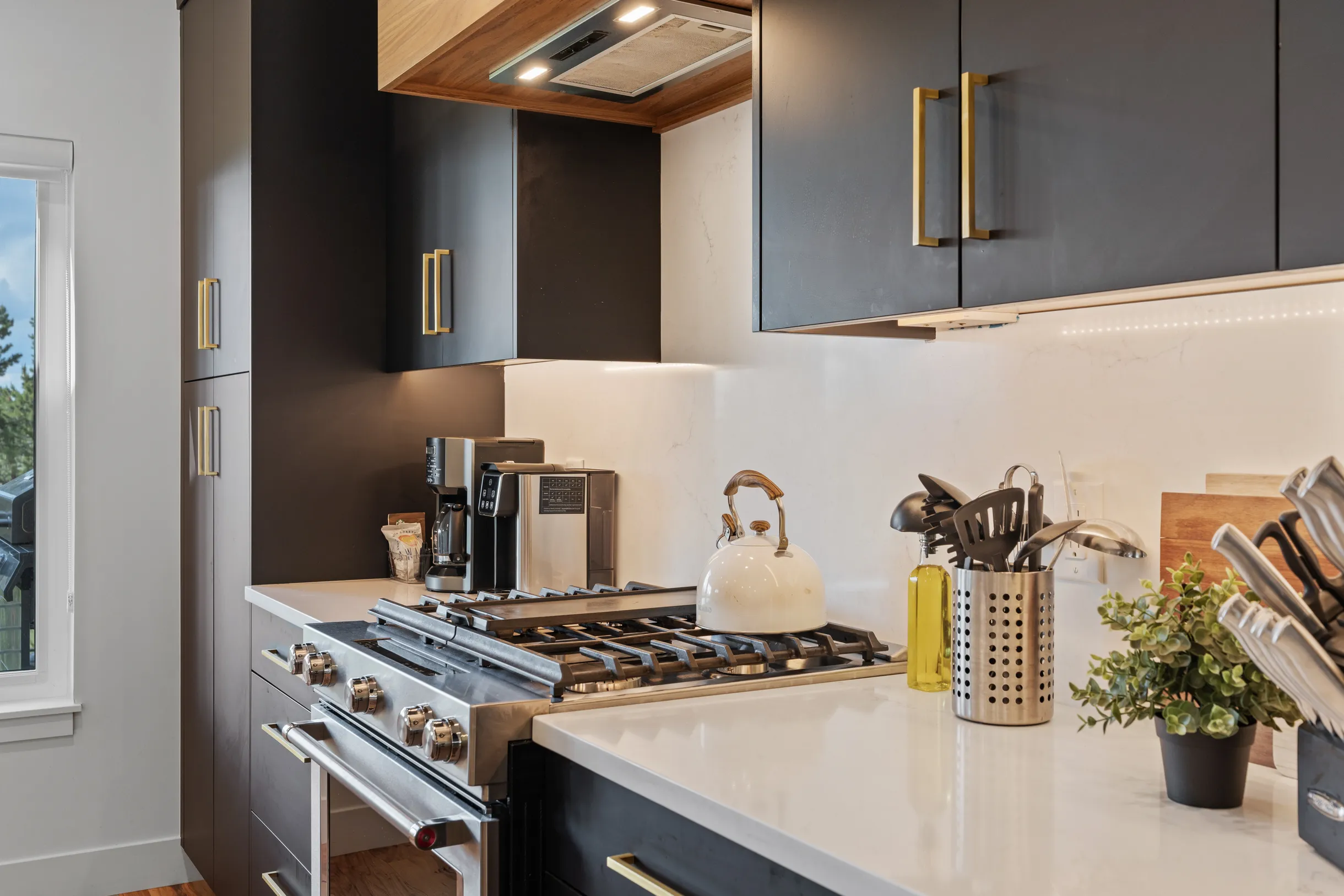 Wander Winter Park Vista #52