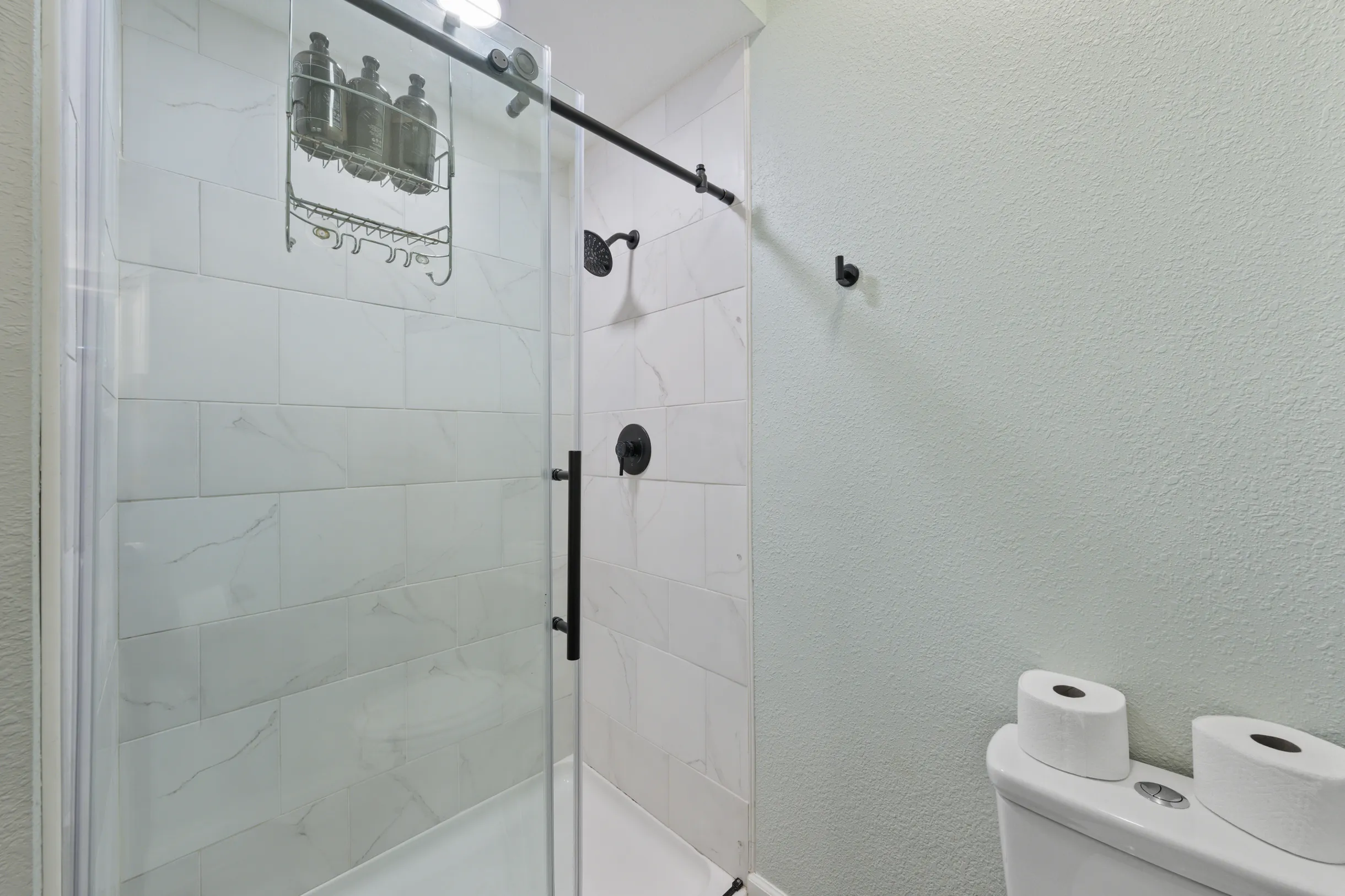 Wander Camdenton Lake #55