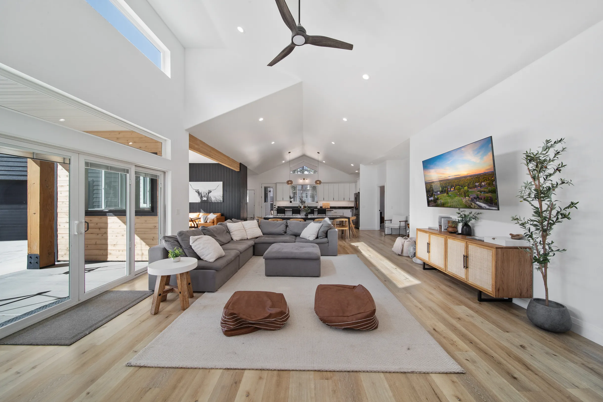 Wander Bison Ridge #3