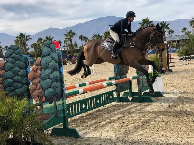 Desert International Horse Park