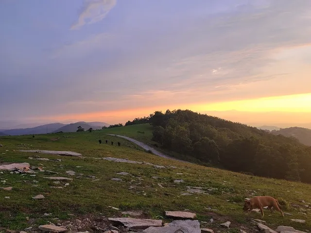 Bearwallow Mountain Trail