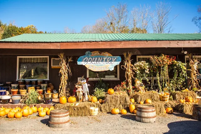 Catskill Mountain Country Store & Restaurant-Windham