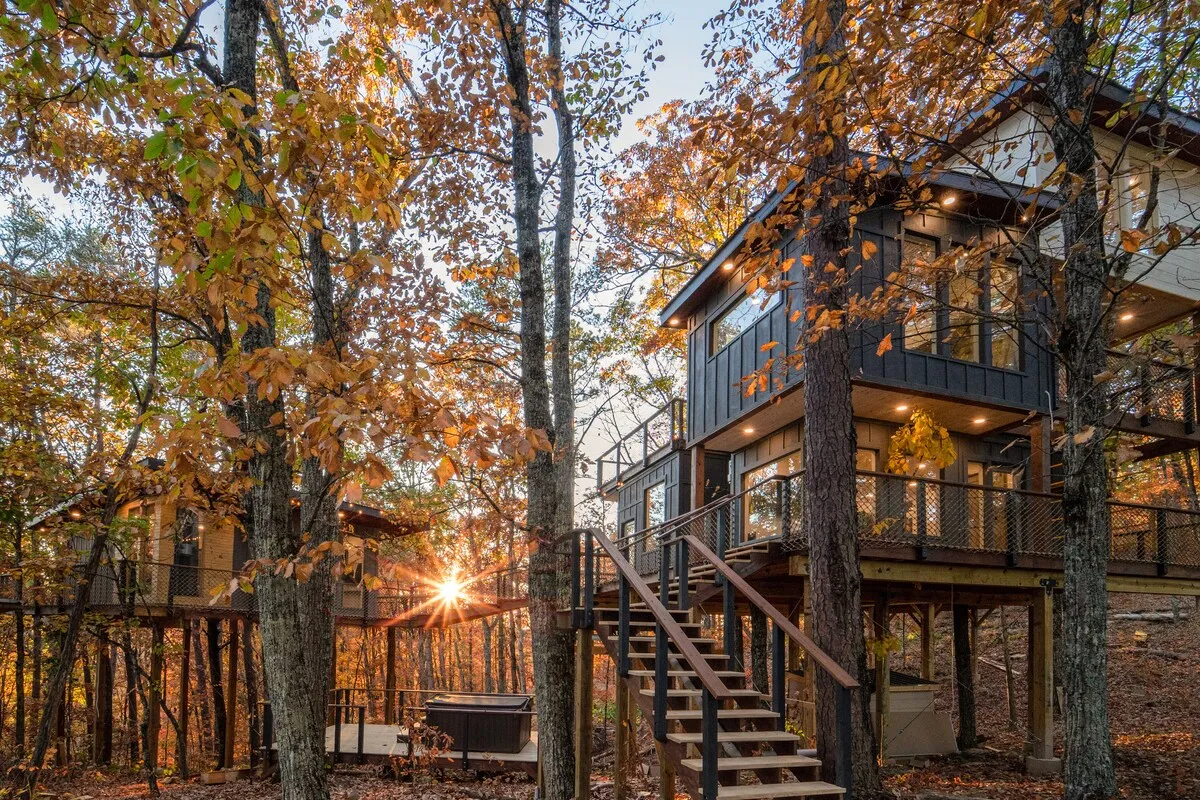 Wander Sevierville Woods #41