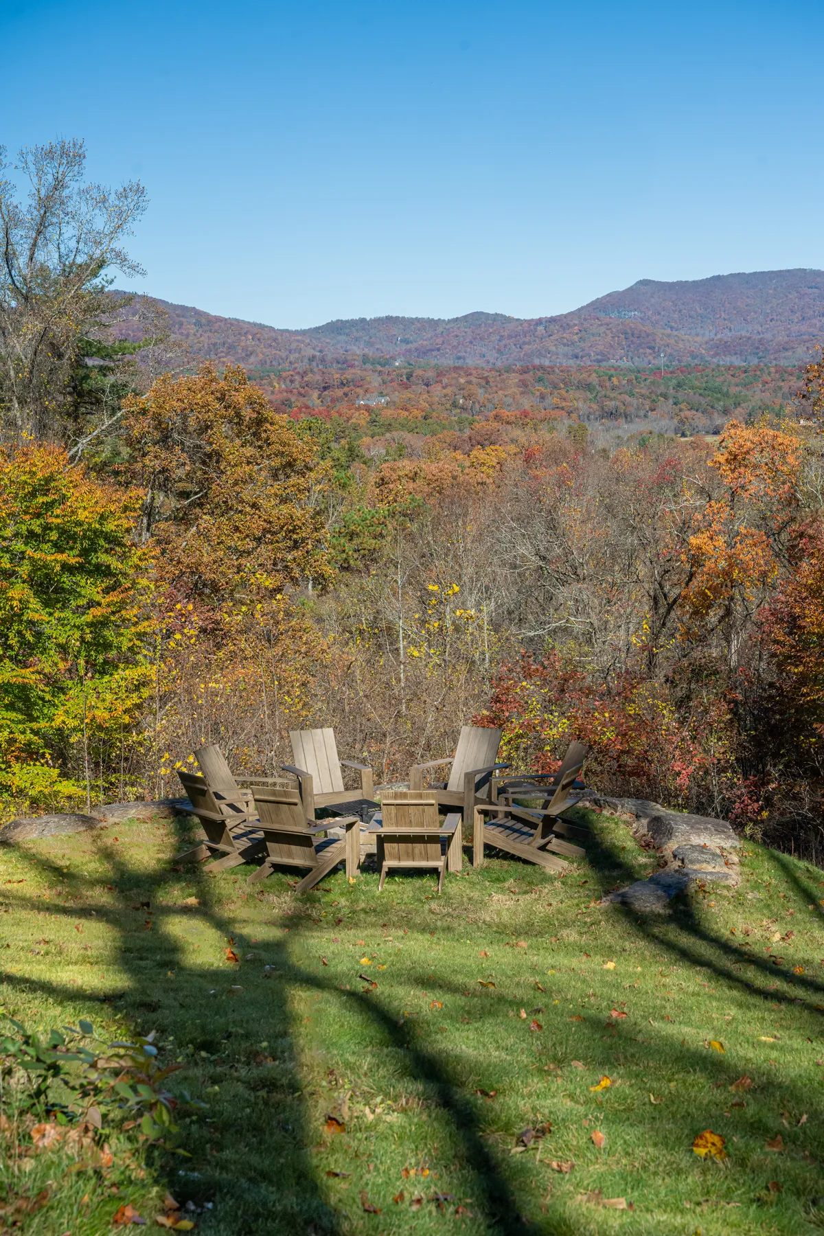 Wander Asheville Wilkie #65