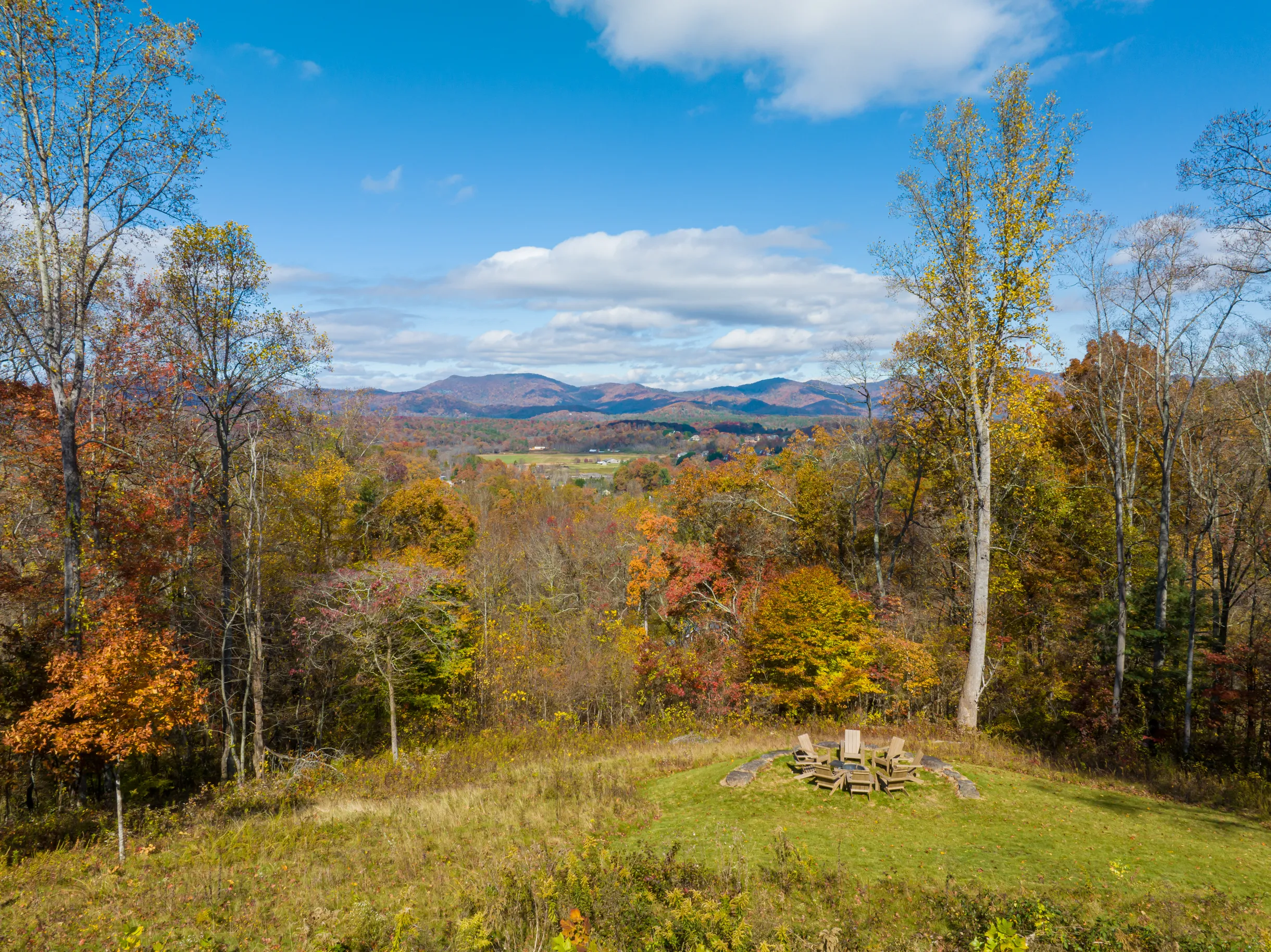 Wander Asheville Wilkie #75
