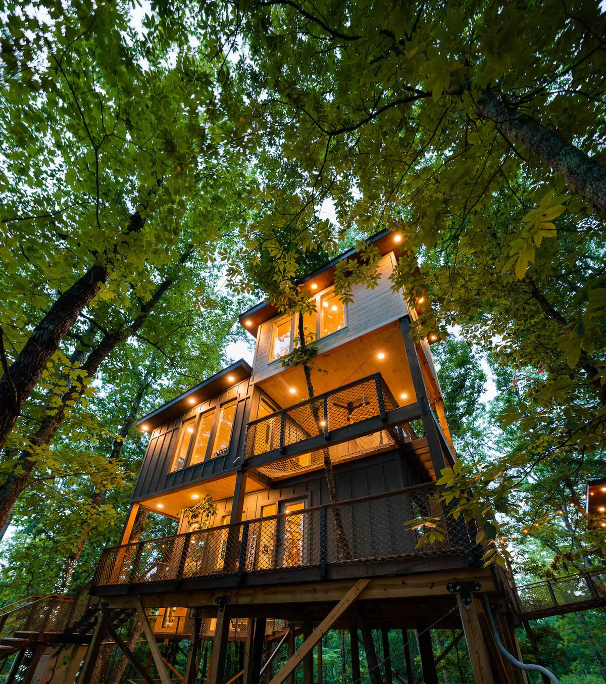 Wander Sevierville Woods #2
