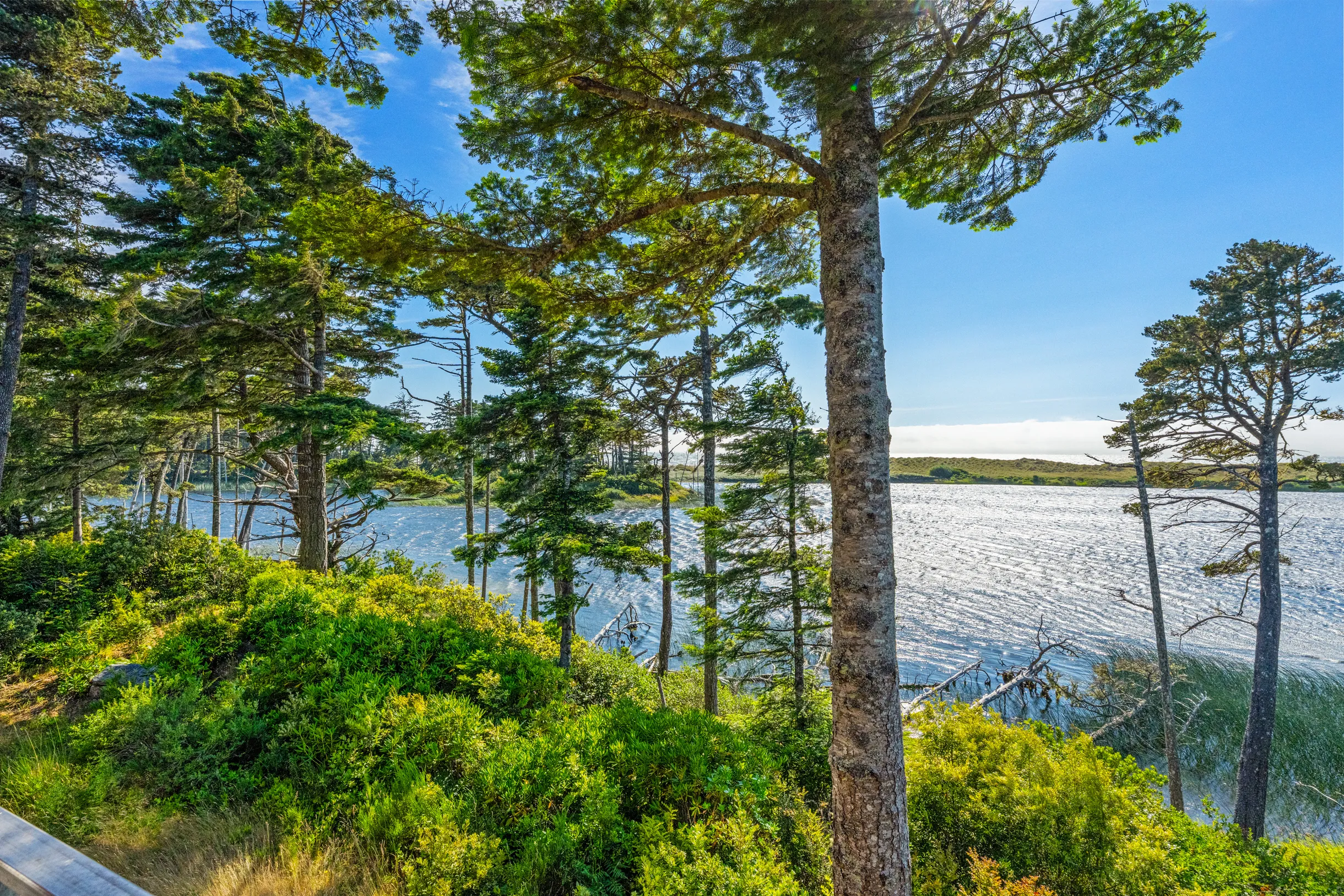 Wander Port Orford Lake #20