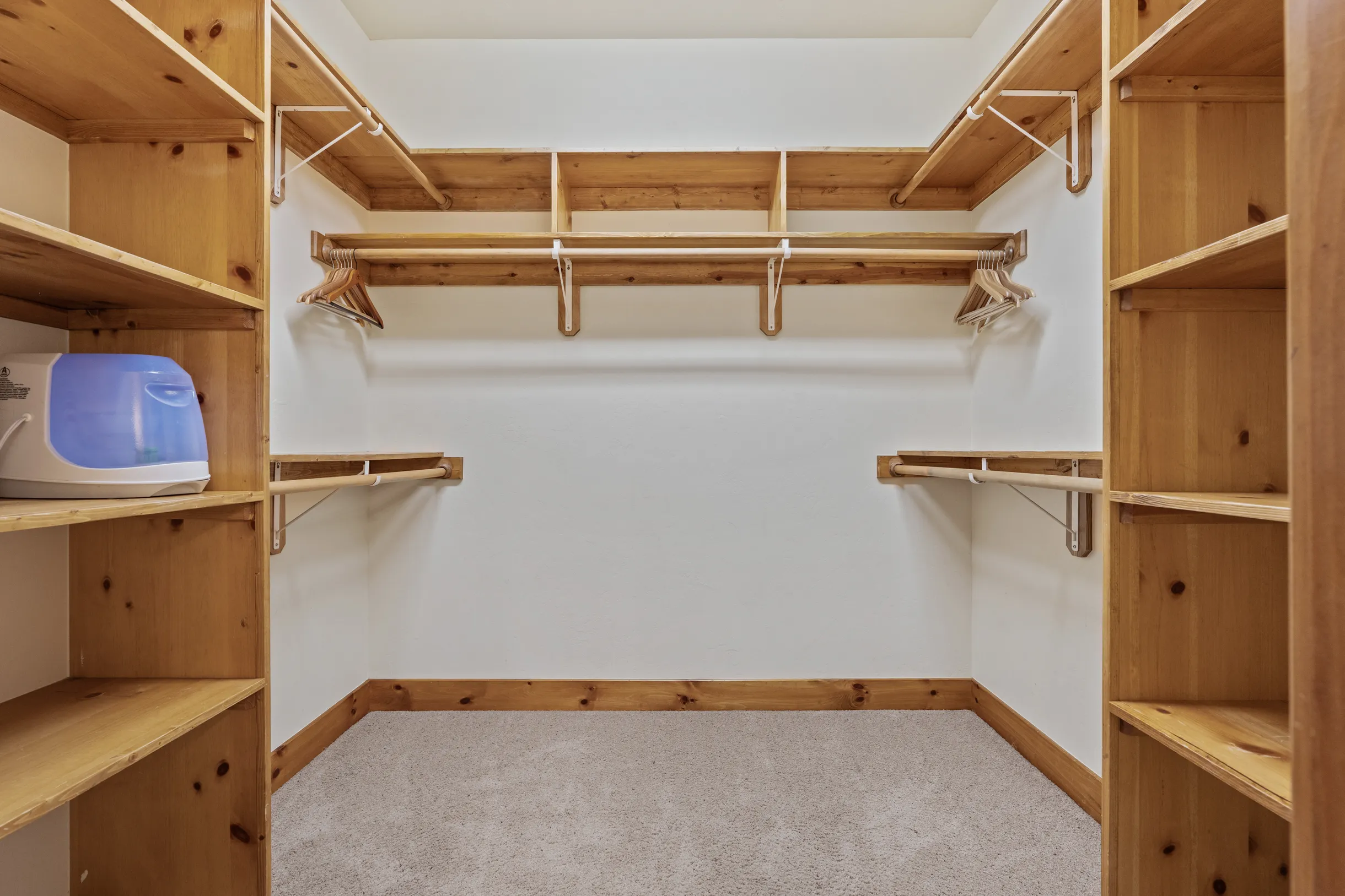 Wander Winter Park Majesty #78