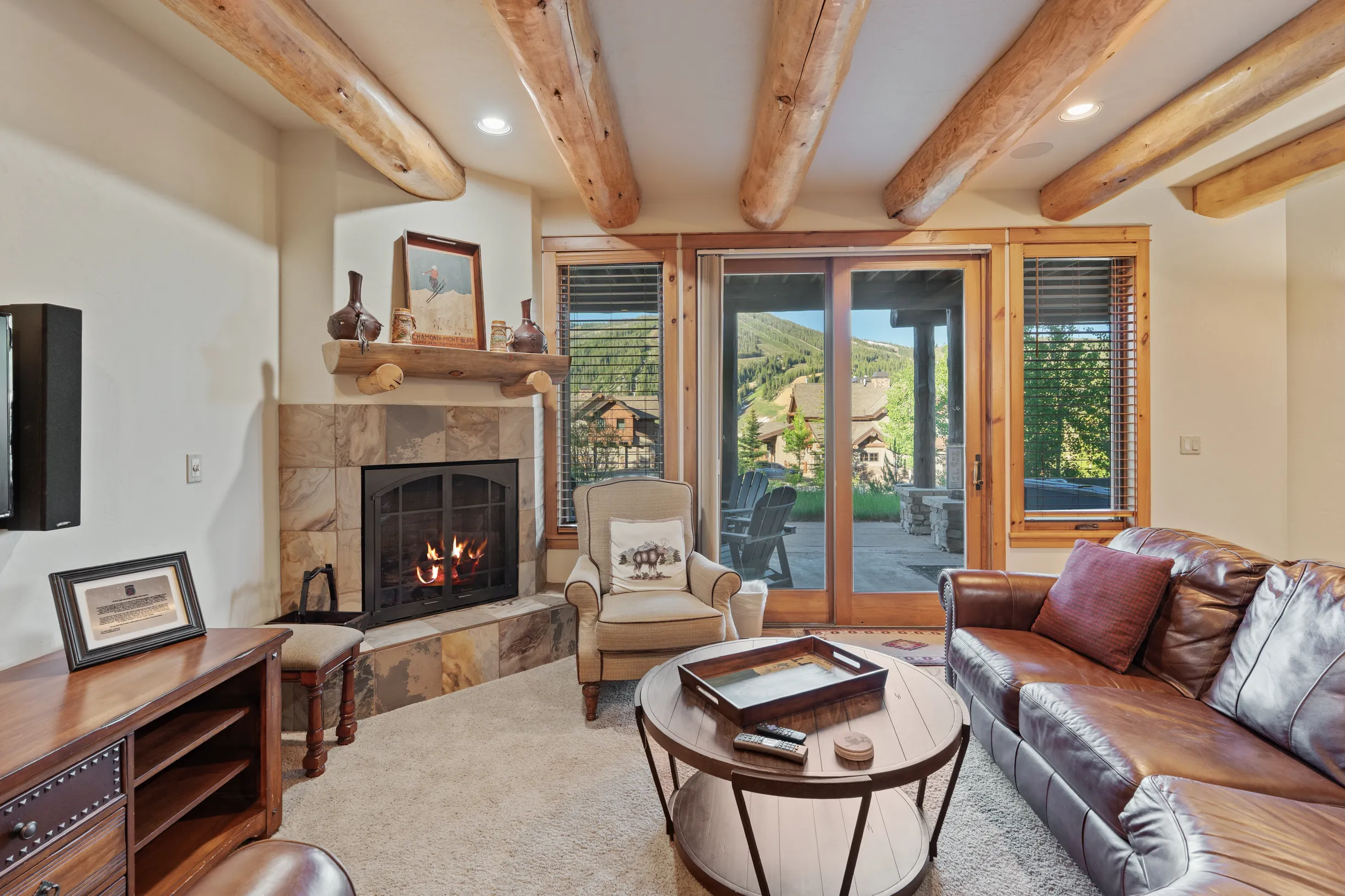 Wander Winter Park Majesty #79