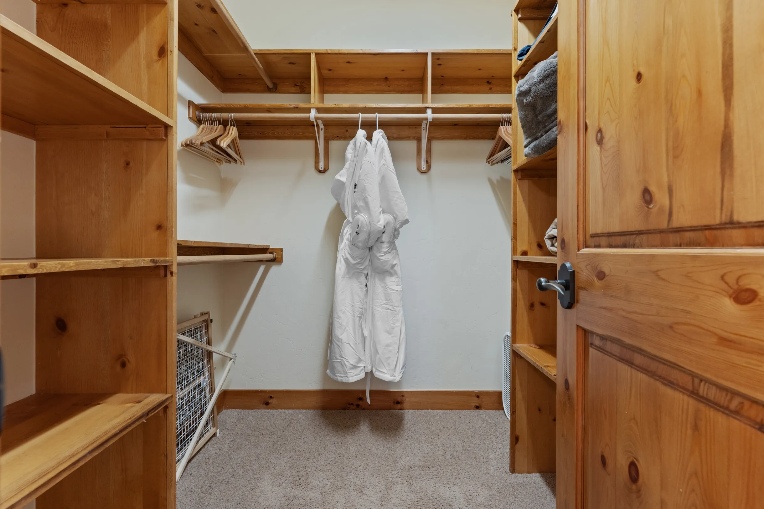 Wander Winter Park Majesty #61