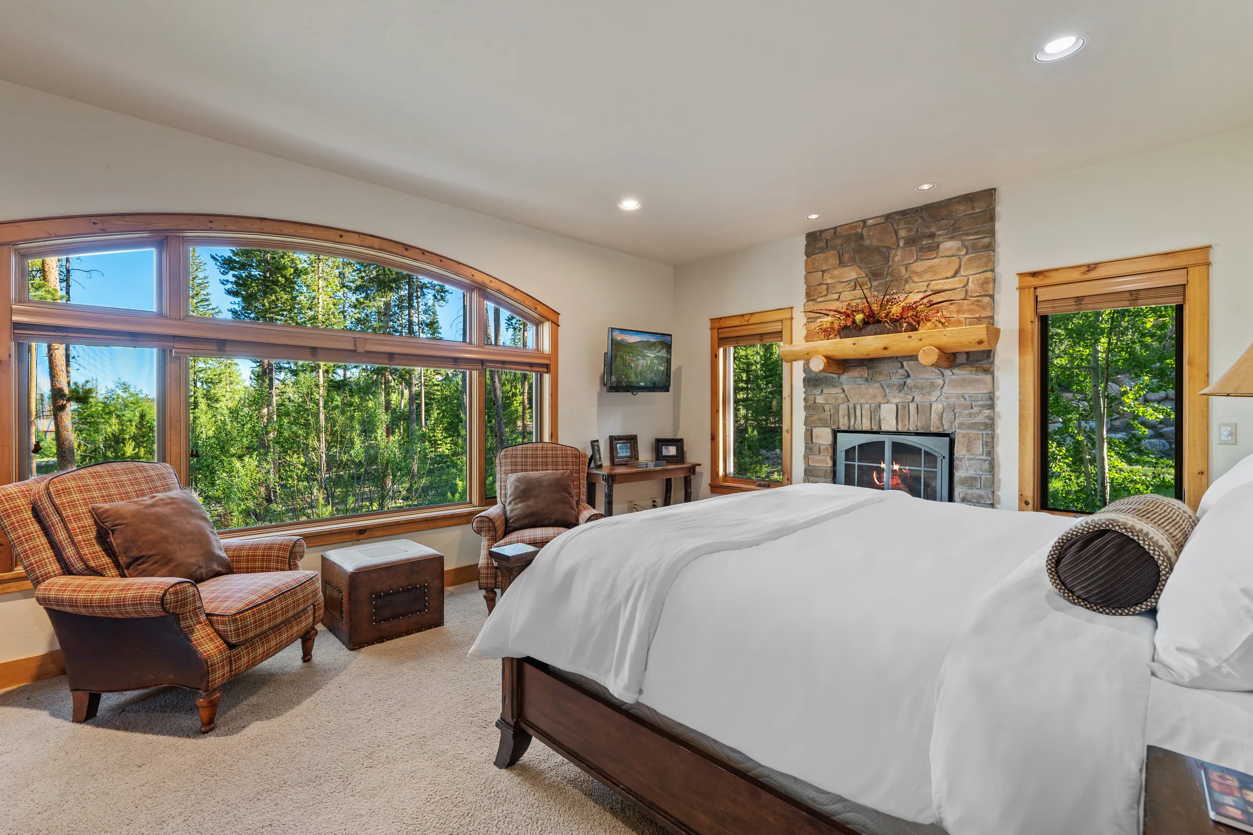 Wander Winter Park Majesty #71