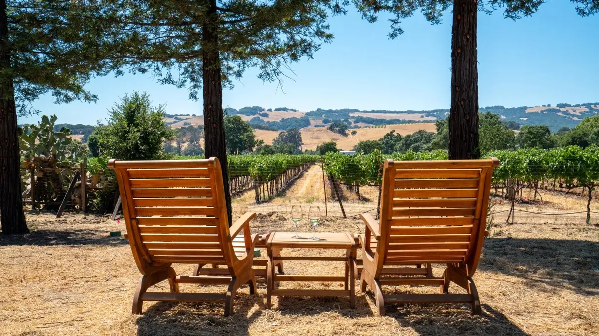 Wander Sonoma Reserve #21